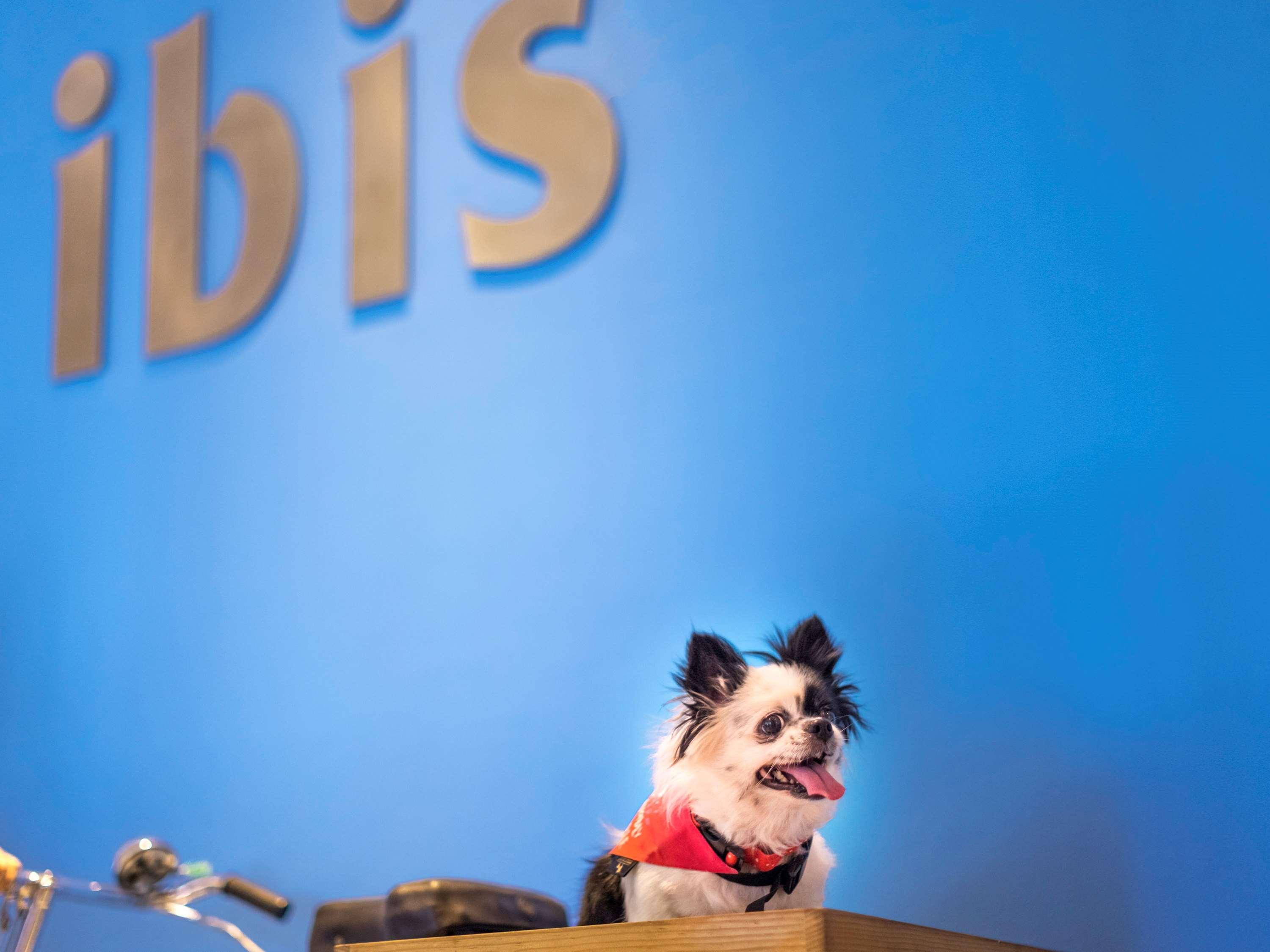 Отель Ibis Bengaluru Hosur Road - An Accor Brand Экстерьер фото